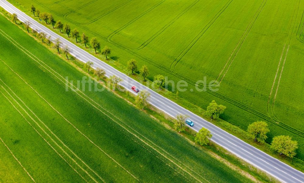 Luftbild Bad Kösen - Baumreihe an einer Landstraße an einem Getreide Feldrand in Bad Kösen im Bundesland Sachsen-Anhalt, Deutschland