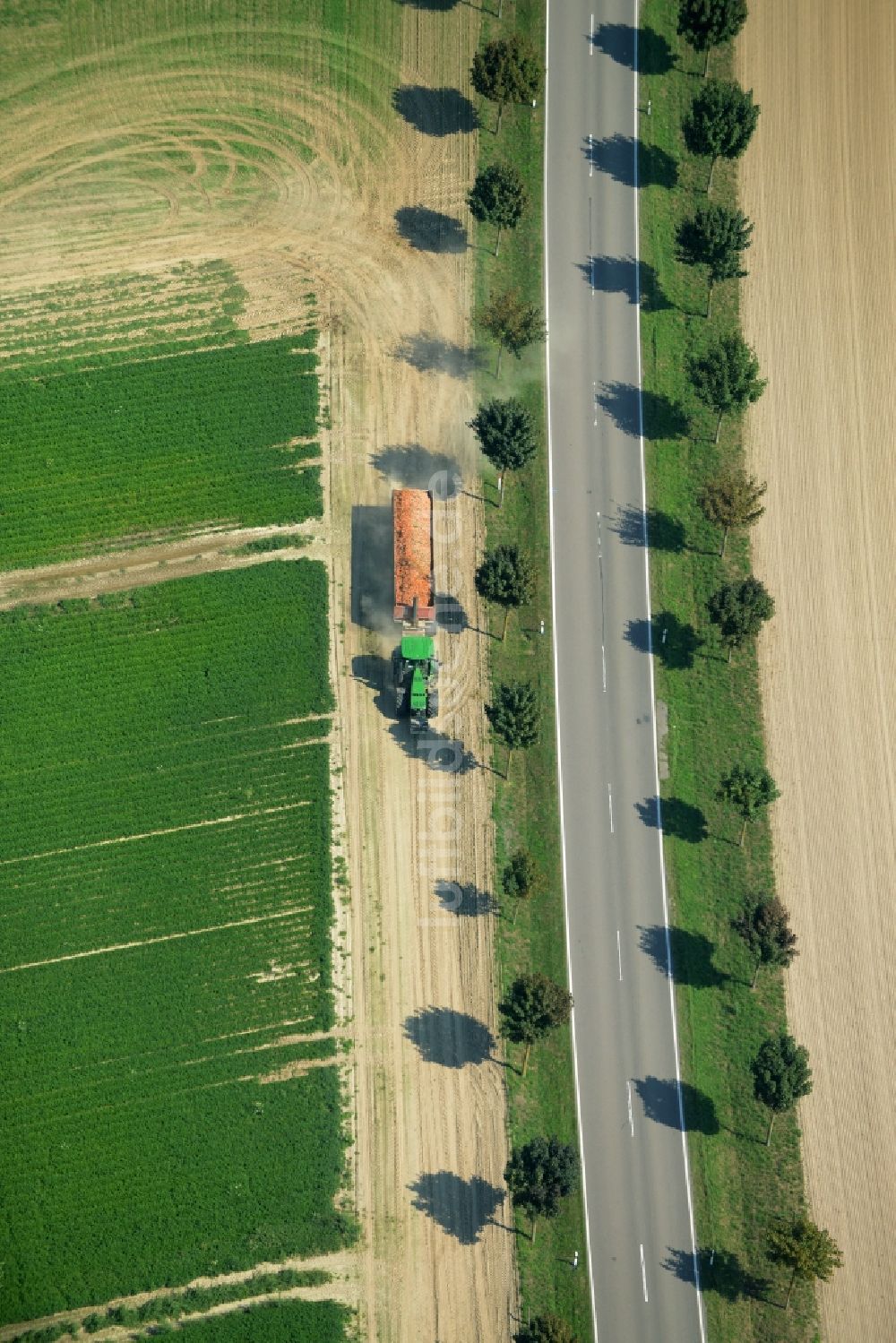 Luftbild Langenlipsdorf - Baumreihe und Traktor an der Landstraße L715 an einem Feldrand in Langenlipsdorf im Bundesland Brandenburg