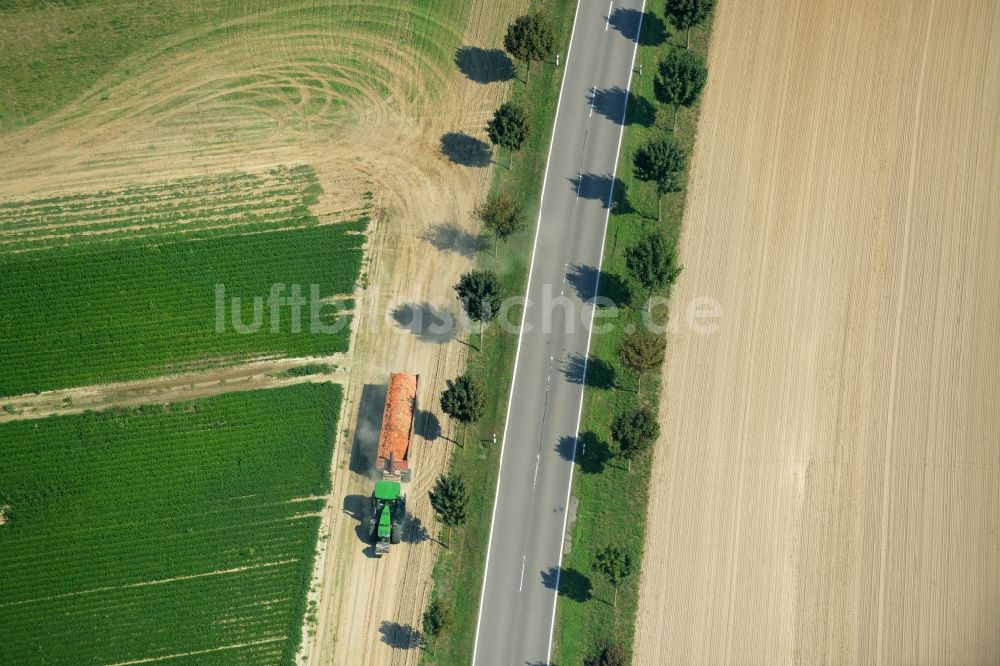 Luftaufnahme Langenlipsdorf - Baumreihe und Traktor an der Landstraße L715 an einem Feldrand in Langenlipsdorf im Bundesland Brandenburg