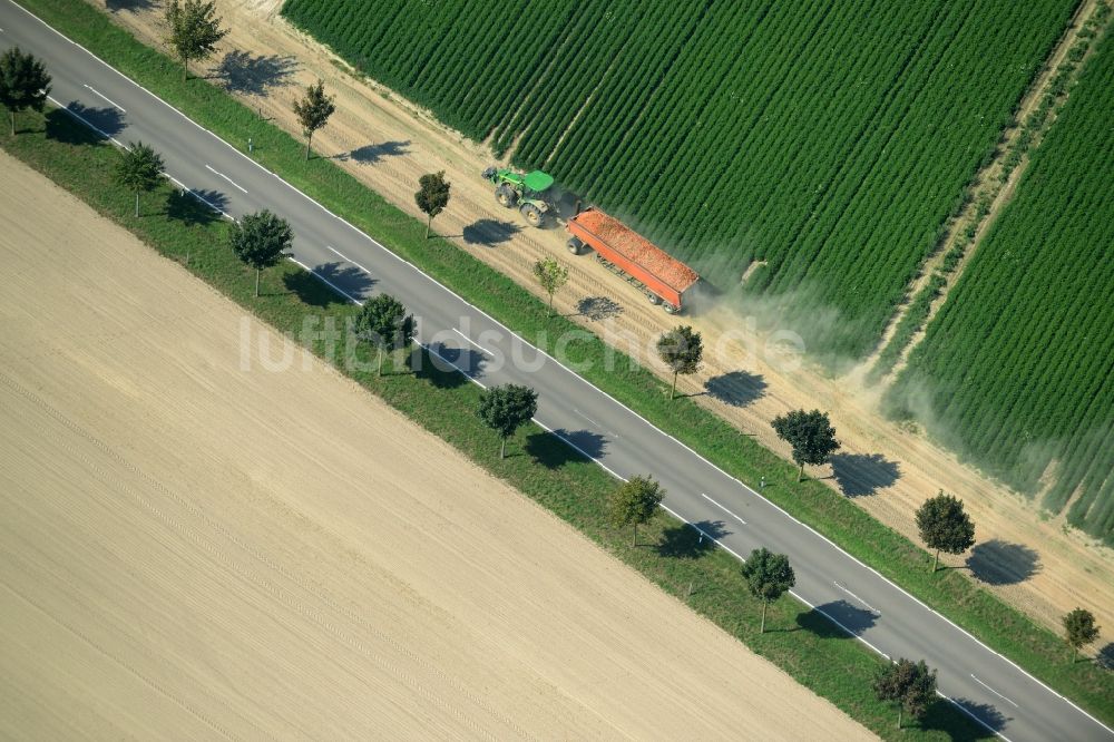 Langenlipsdorf aus der Vogelperspektive: Baumreihe und Traktor an der Landstraße L715 an einem Feldrand in Langenlipsdorf im Bundesland Brandenburg