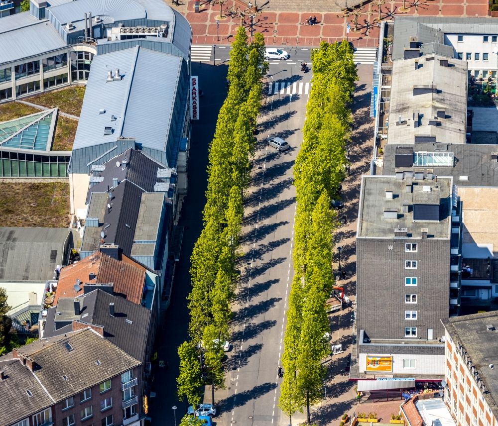 Luftaufnahme Wesel - Baumreihe an der Wilhelmstraße im Ortsteil Blumenkamp in Wesel im Bundesland Nordrhein-Westfalen, Deutschland