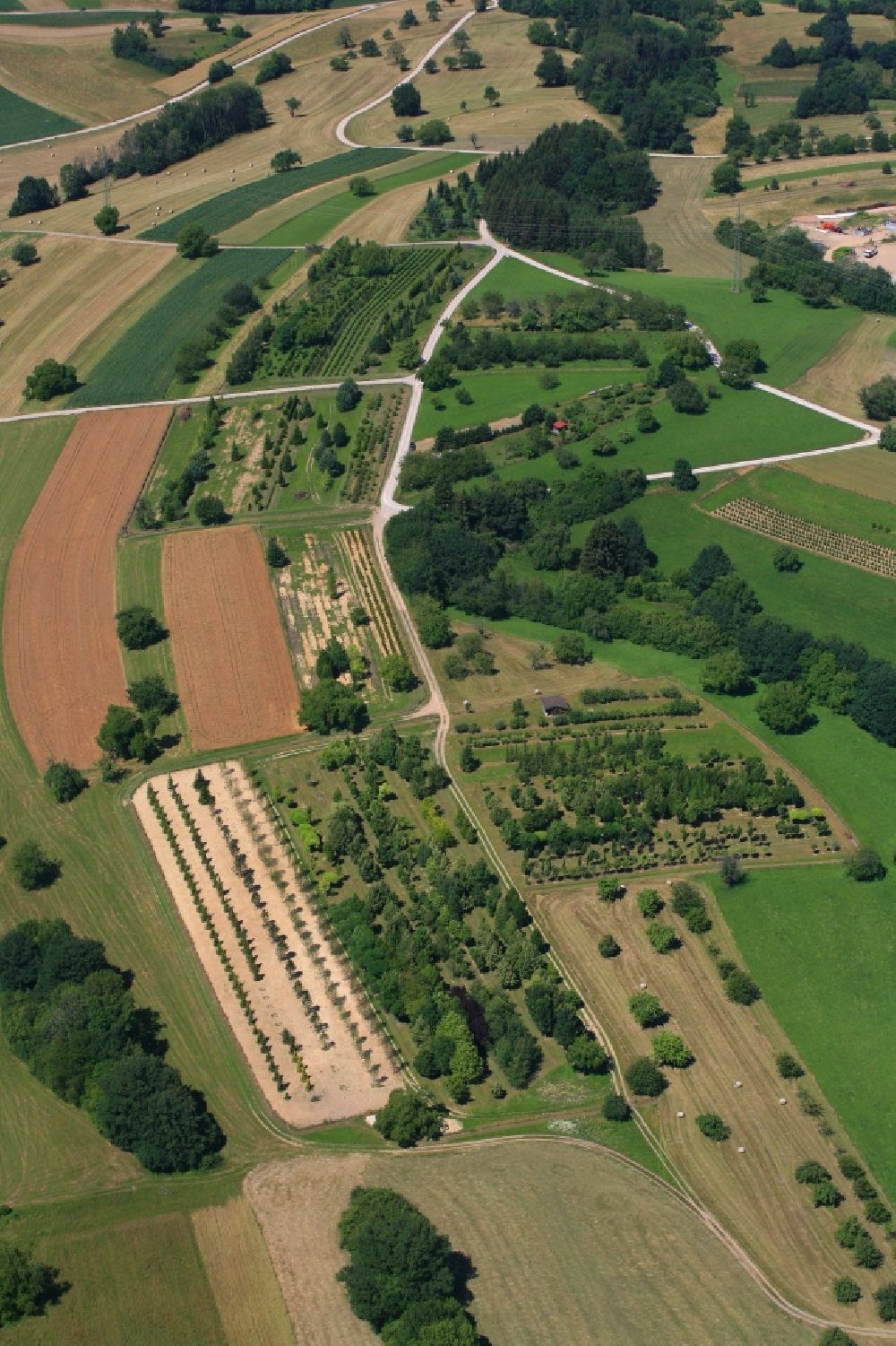Luftaufnahme Wehr - Baumreihen einer Baumschule auf dem Dinkelberg bei Wehr im Bundesland Baden-Württemberg, Deutschland