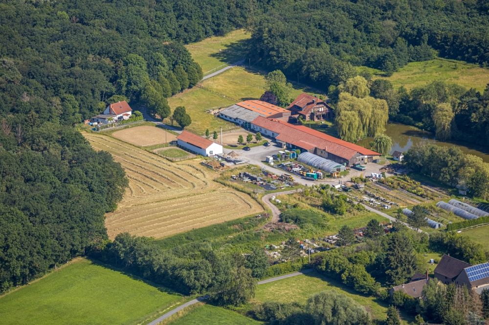 Luftbild Hamm - Baumreihen auf Feldern der Baumschule Sennekamp im Ortsteil Norddinker in Hamm im Bundesland Nordrhein-Westfalen, Deutschland