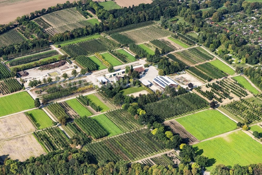 Luftaufnahme München - Baumreihen auf Feldern der Baumschulen in München im Bundesland Bayern, Deutschland