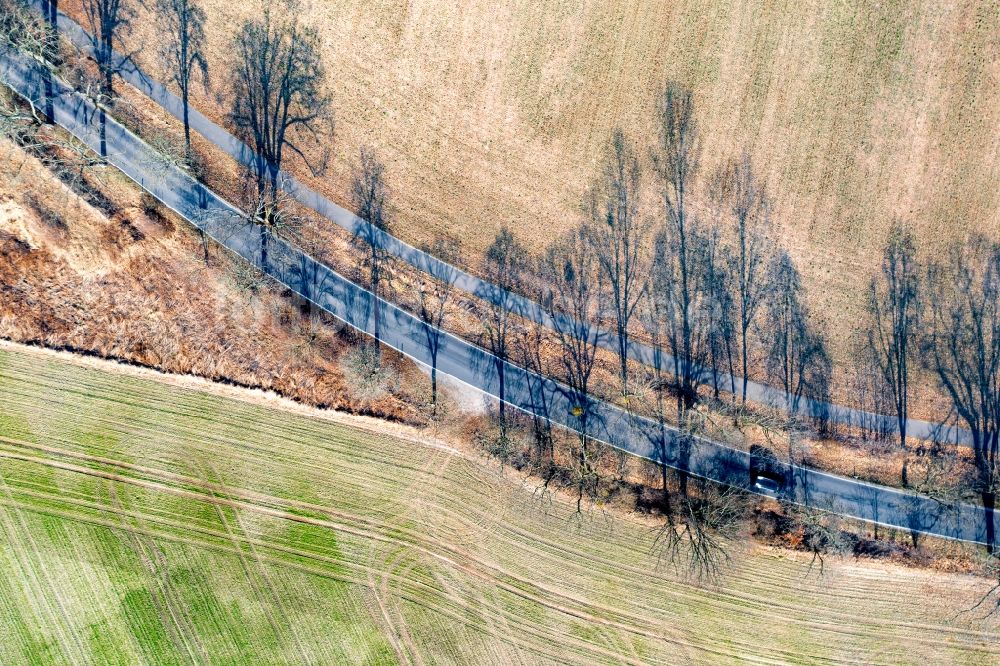 Luftaufnahme Altenhof - Baumreihen auf Feldern entlang der L238 in Altenhof im Bundesland Brandenburg, Deutschland