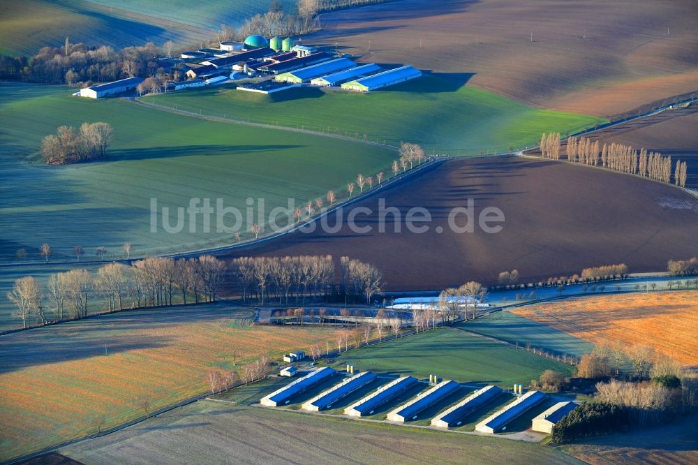 Luftbild Lommatzsch - Baumreihen auf Feldern des in Lommatzsch im Bundesland Sachsen, Deutschland