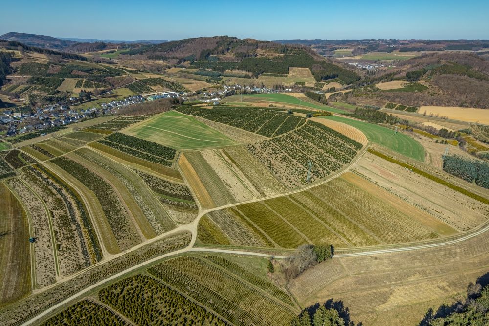 Luftaufnahme Heringhausen - Baumreihen einer Obstanbau- Plantage auf einem Feld in Heringhausen im Bundesland Nordrhein-Westfalen, Deutschland