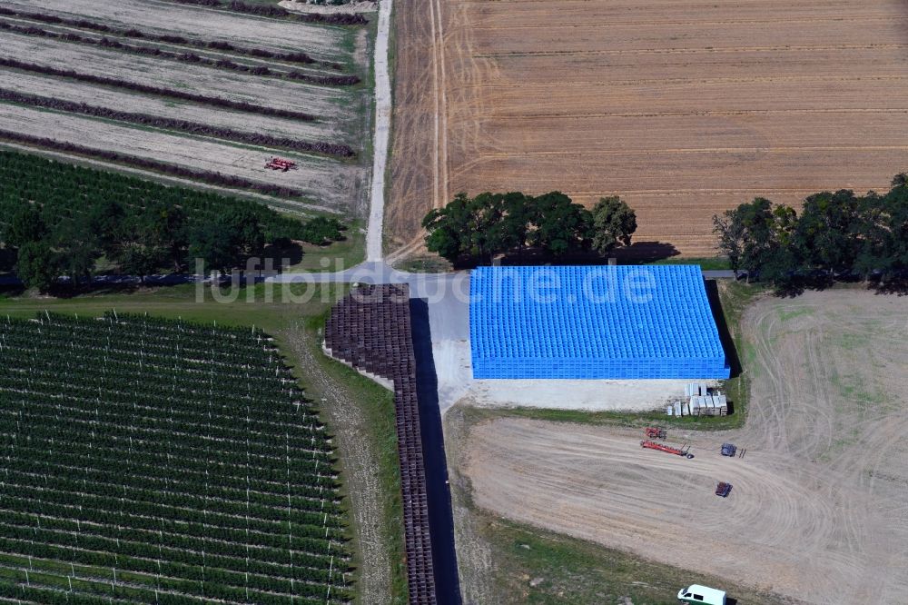 Luftbild Wesendahl - Baumreihen einer Obstanbau- Plantage auf einem Feld mit Obstkisten in Wesendahl im Bundesland Brandenburg, Deutschland