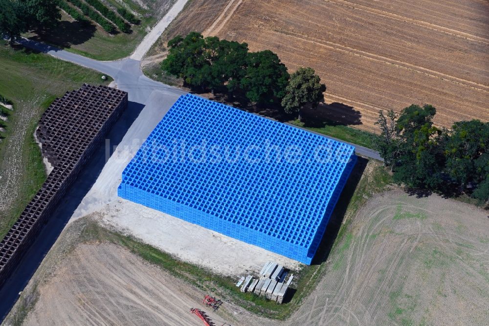 Luftaufnahme Wesendahl - Baumreihen einer Obstanbau- Plantage auf einem Feld mit Obstkisten in Wesendahl im Bundesland Brandenburg, Deutschland