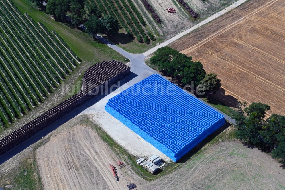Luftbild Wesendahl - Baumreihen einer Obstanbau- Plantage auf einem Feld mit Obstkisten in Wesendahl im Bundesland Brandenburg, Deutschland