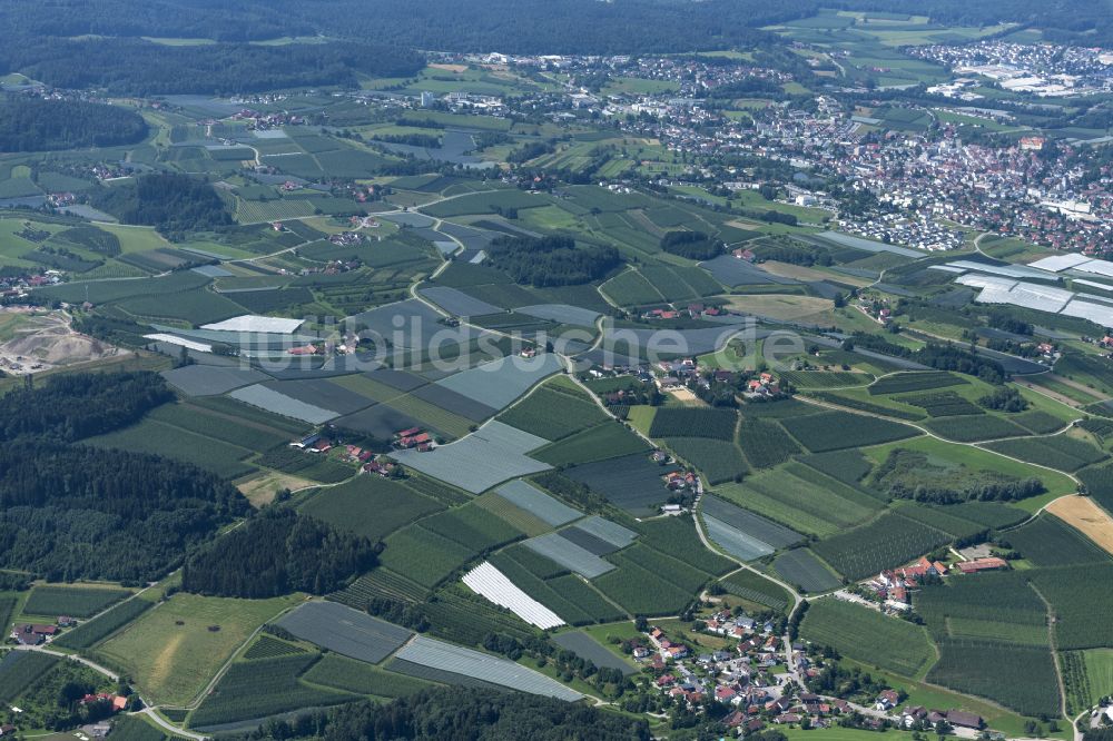 Luftaufnahme Tettnang - Baumreihen einer Obstanbau- Plantage auf einem Feld in Tettnang im Bundesland Baden-Württemberg, Deutschland