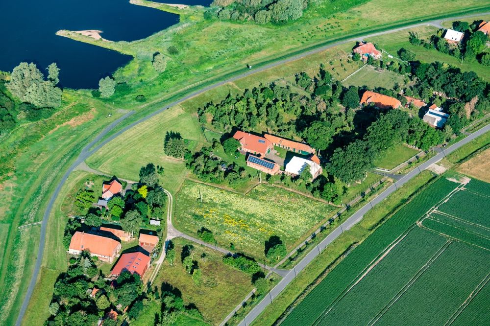 Luftaufnahme Bitter - Baumreihen und Obsthof einer Obstanbau- Plantage auf einem Feld in Bitter im Bundesland Niedersachsen, Deutschland