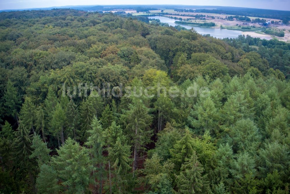 Luftaufnahme Raben Steinfeld - Baumspitzen in einem Douglasienwald in Raben Steinfeld im Bundesland Mecklenburg-Vorpommern, Deutschland