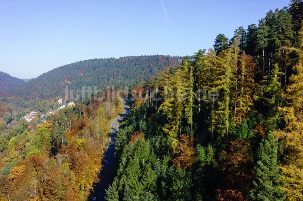 Bad Liebenzell von oben - Baumspitzen in einem Waldgebiet in Bad Liebenzell im Bundesland Baden-Württemberg