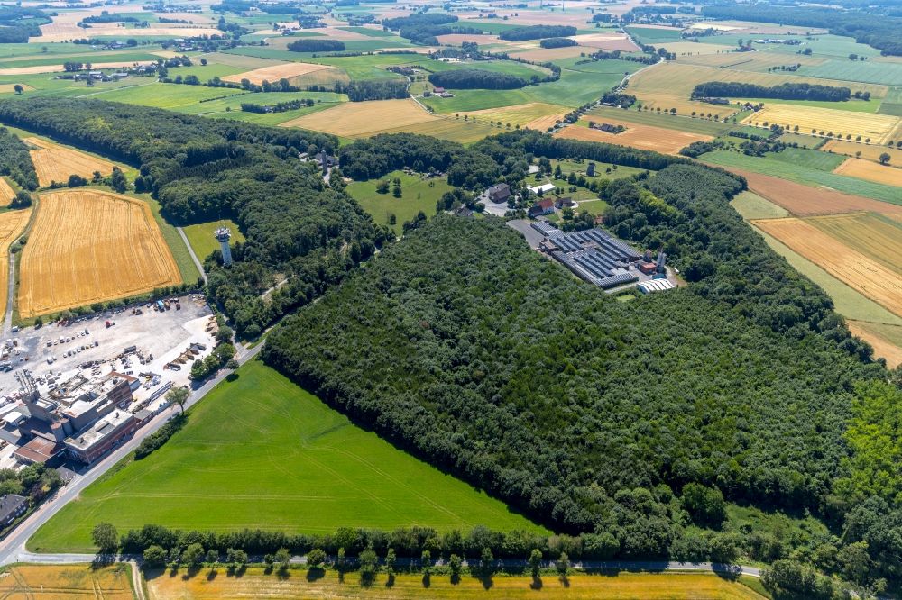 Beckum von oben - Baumspitzen in einem Waldgebiet in Beckum im Bundesland Nordrhein-Westfalen, Deutschland