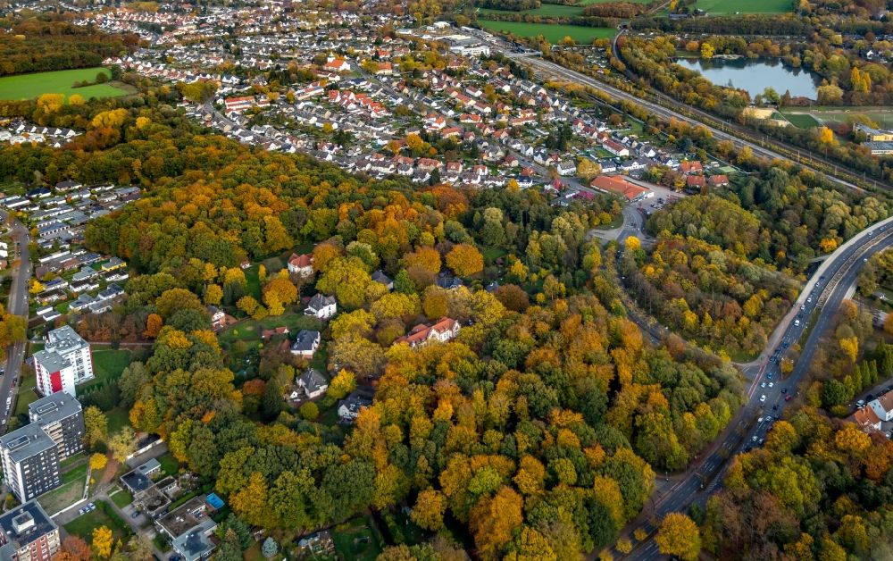 Luftbild Gladbeck - Baumspitzen in einem Waldgebiet am Bernskamp in Gladbeck im Bundesland Nordrhein-Westfalen, Deutschland