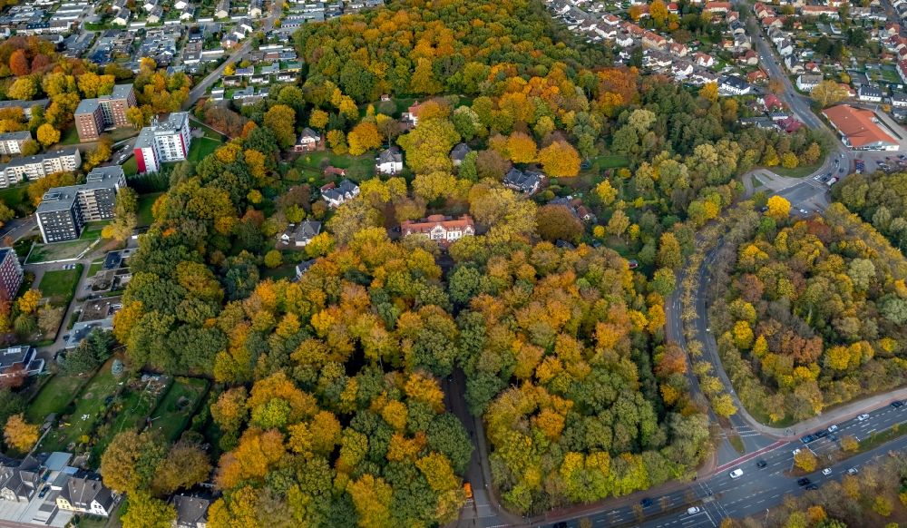 Luftaufnahme Gladbeck - Baumspitzen in einem Waldgebiet am Bernskamp in Gladbeck im Bundesland Nordrhein-Westfalen, Deutschland