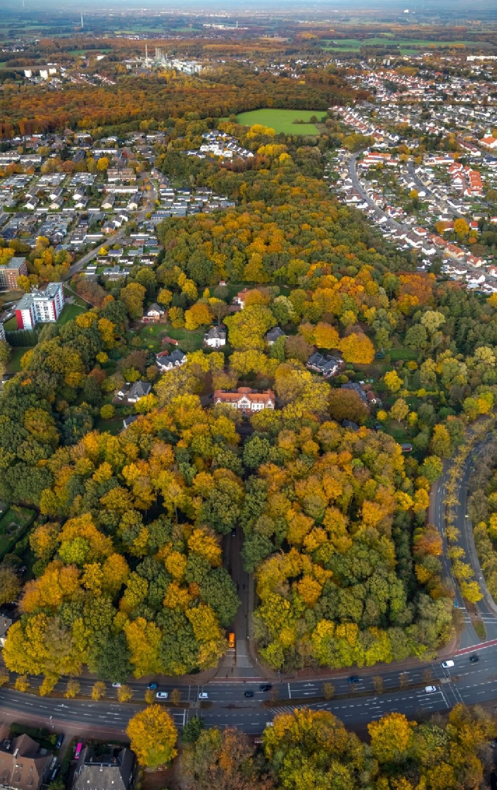 Gladbeck von oben - Baumspitzen in einem Waldgebiet am Bernskamp in Gladbeck im Bundesland Nordrhein-Westfalen, Deutschland