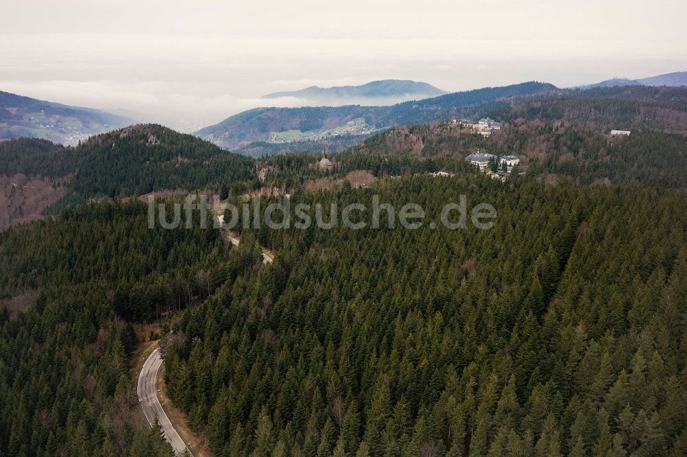 Luftbild Bühlertal - Baumspitzen in einem Waldgebiet in Bühlertal im Bundesland Baden-Württemberg