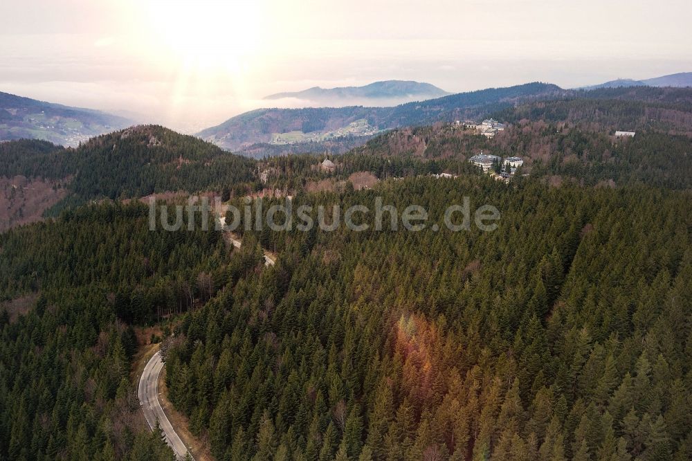 Luftaufnahme Bühlertal - Baumspitzen in einem Waldgebiet in Bühlertal im Bundesland Baden-Württemberg
