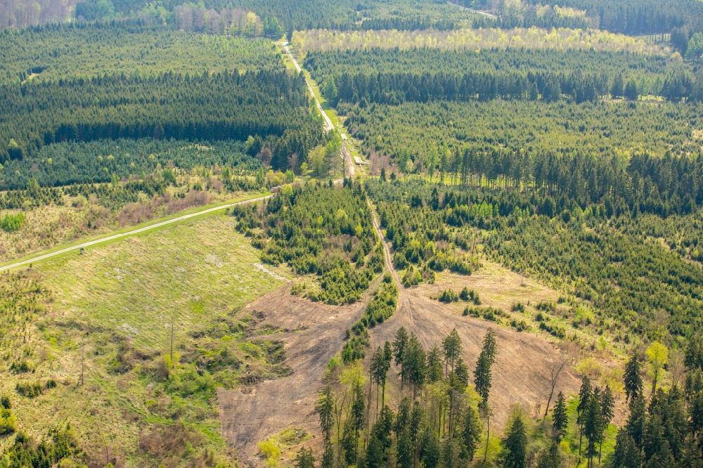 Luftaufnahme Brilon - Baumspitzen in einem Waldgebiet in Brilon im Bundesland Nordrhein-Westfalen, Deutschland