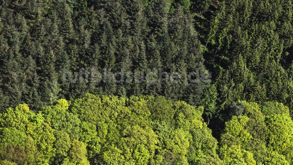 Dillingen/Saar von oben - Baumspitzen in einem Waldgebiet in Dillingen/Saar im Bundesland Saarland, Deutschland