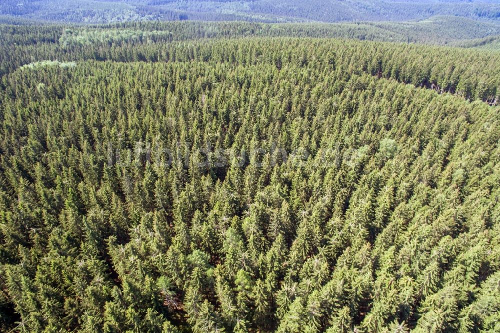 Luftbild Markersbach - Baumspitzen in einem Waldgebiet im Erzgebirge in Markersbach im Bundesland Sachsen, Deutschland