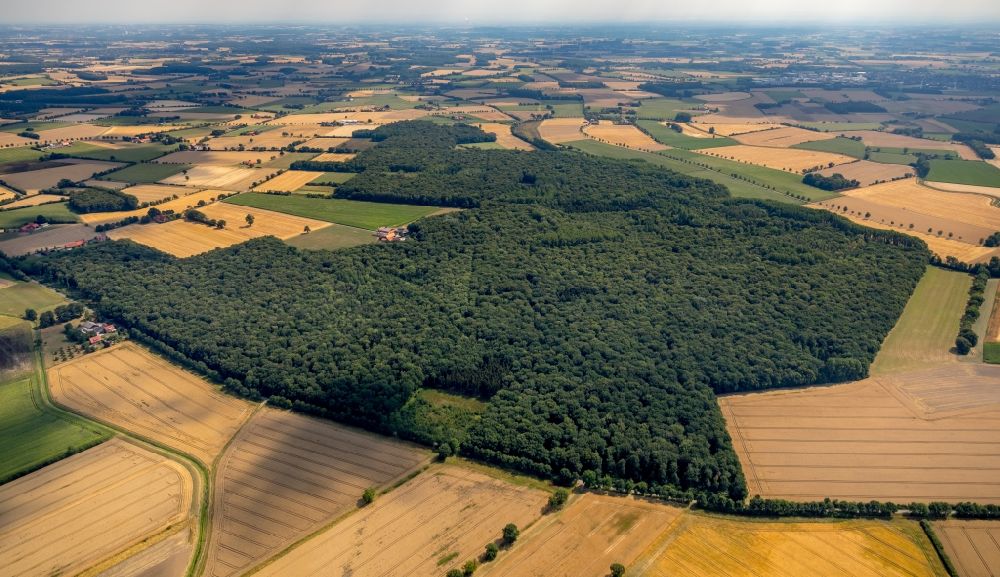 Luftaufnahme Everswinkel - Baumspitzen in einem Waldgebiet in Everswinkel im Bundesland Nordrhein-Westfalen, Deutschland