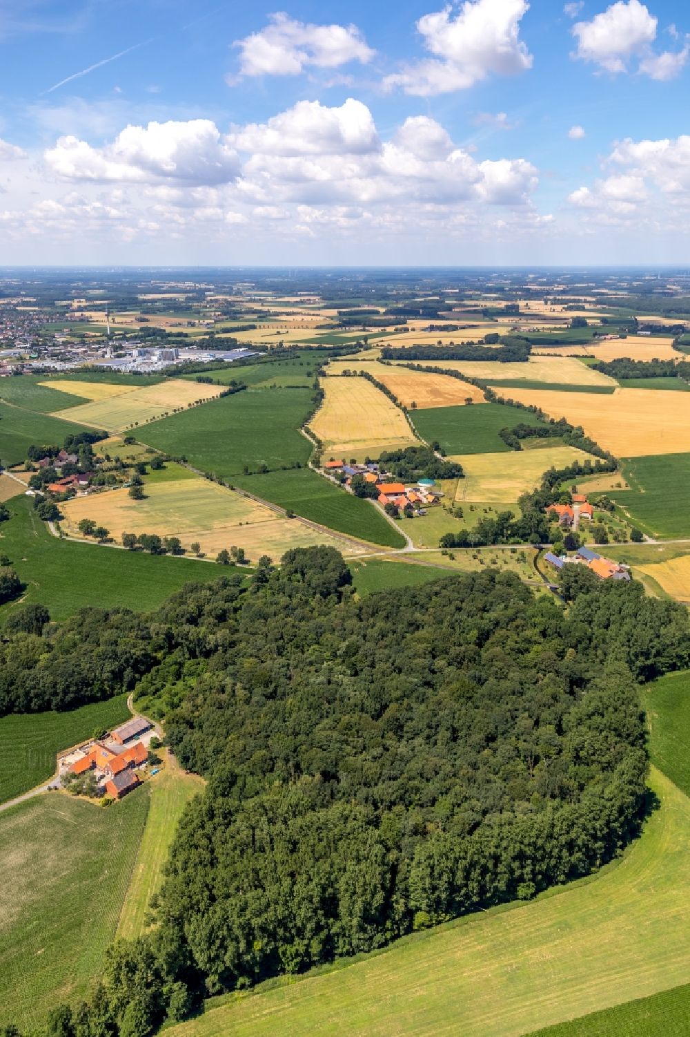 Luftaufnahme Hardt - Baumspitzen in einem Waldgebiet in Hardt im Bundesland Nordrhein-Westfalen, Deutschland