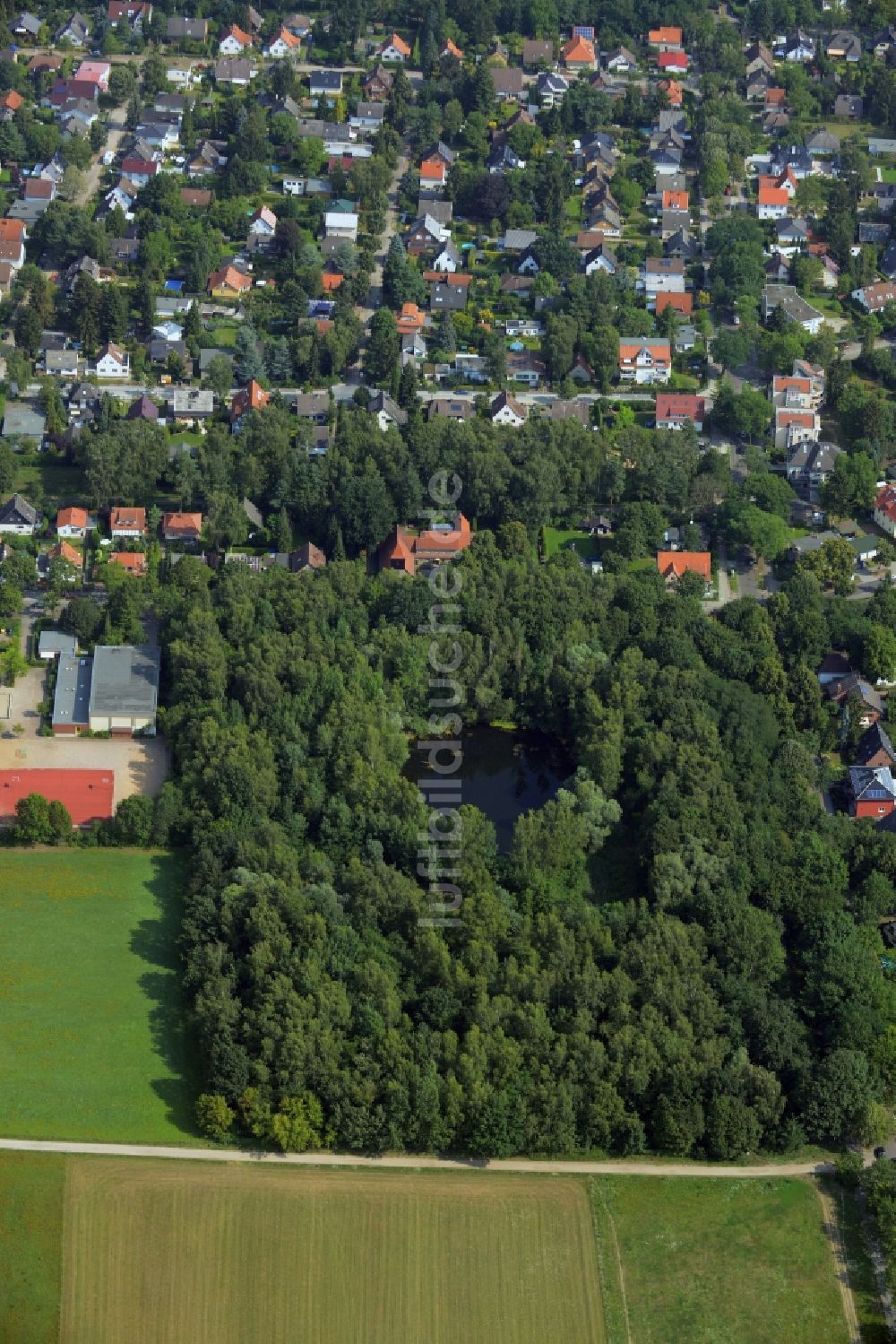 Luftbild Berlin - Baumspitzen in einem Waldgebiet in Heiligensee in Berlin