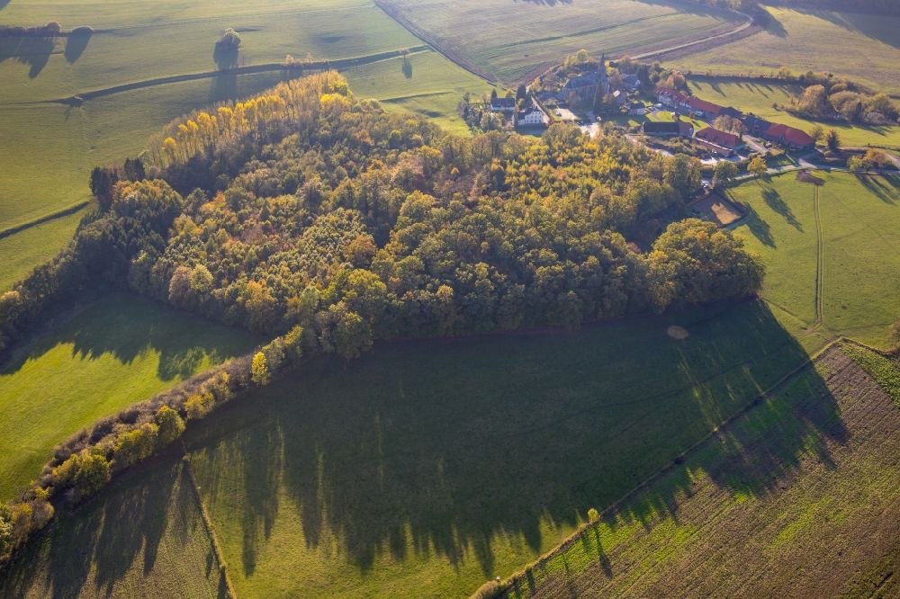 Herdringen von oben - Baumspitzen in einem Waldgebiet in Herdringen im Bundesland Nordrhein-Westfalen, Deutschland