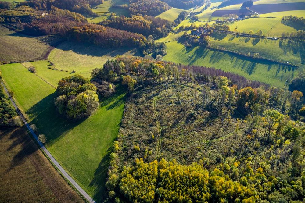 Herdringen aus der Vogelperspektive: Baumspitzen in einem Waldgebiet in Herdringen im Bundesland Nordrhein-Westfalen, Deutschland