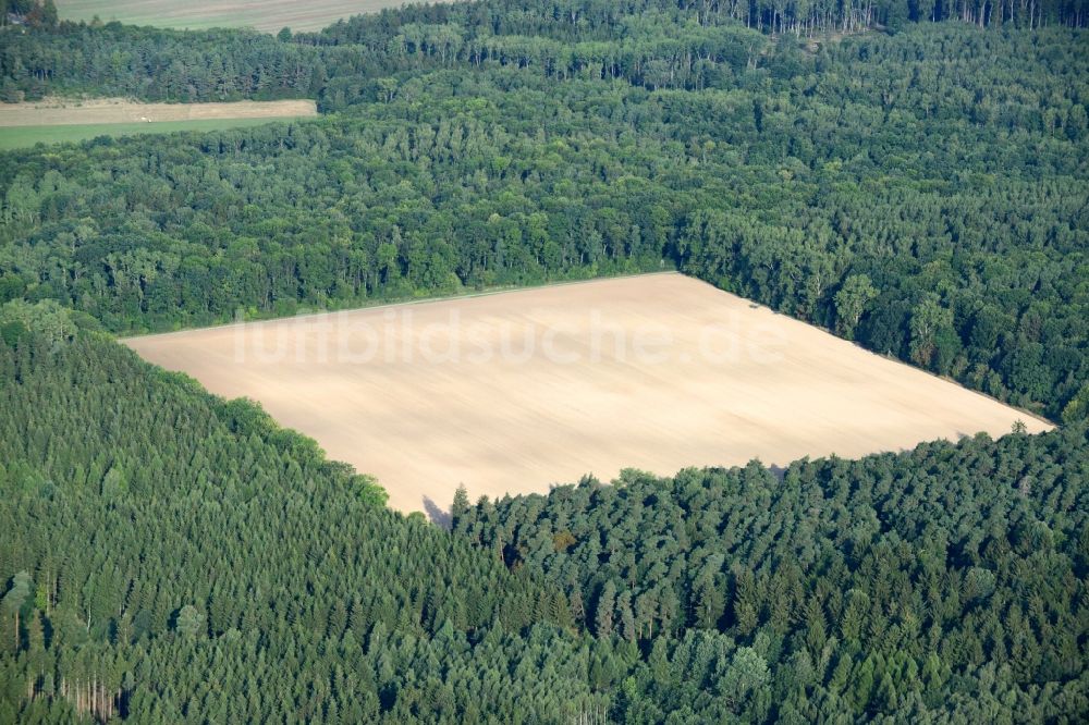 Hörselberg-Hainich aus der Vogelperspektive: Baumspitzen in einem Waldgebiet in Hörselberg-Hainich im Bundesland Thüringen