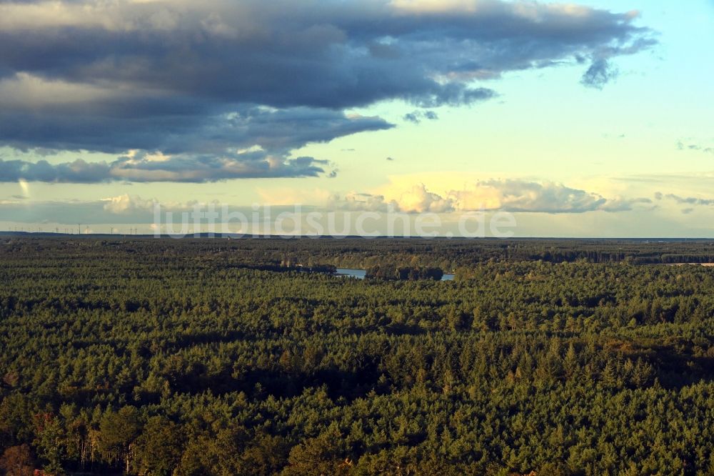 Kyritz aus der Vogelperspektive: Baumspitzen in einem Waldgebiet in Kyritz im Bundesland Brandenburg, Deutschland