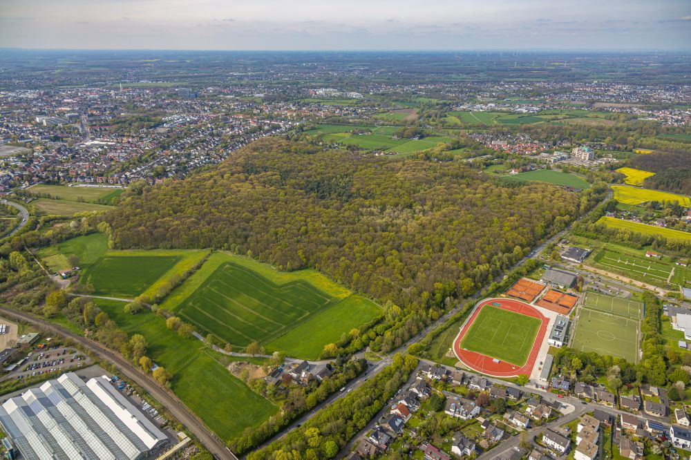 Luftbild Hamm - Baumspitzen in einem Waldgebiet im Ortsteil Caldenhof in Hamm im Bundesland Nordrhein-Westfalen, Deutschland