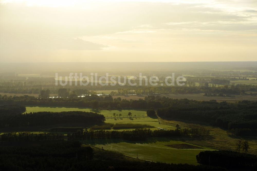 Luftbild Schorfheide - Baumspitzen in einem Waldgebiet in Schorfheide im Bundesland Brandenburg, Deutschland