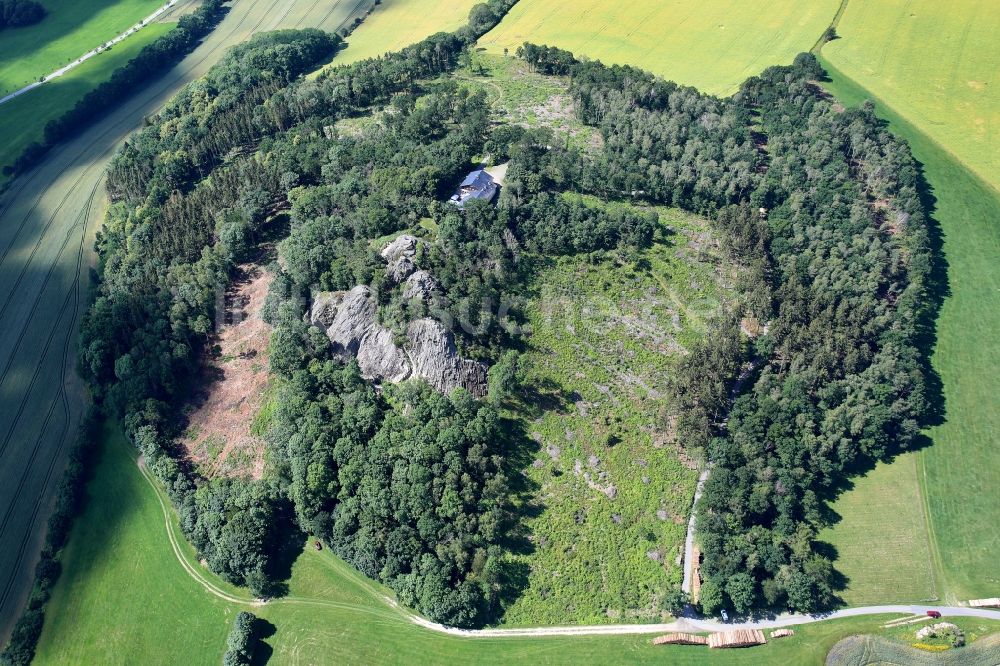 Luftbild Oderwitz - Baumspitzen in einem Waldgebiet Spitzberg in Oderwitz im Bundesland Sachsen, Deutschland