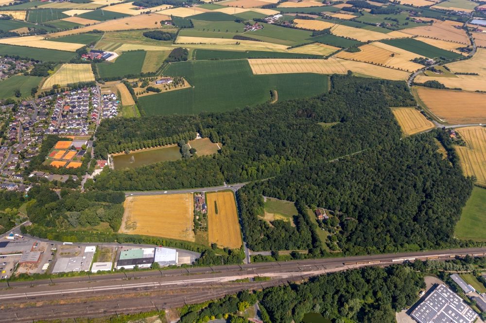 Luftbild Ahlen - Baumspitzen in einem Waldgebiet Stadtwald Langst in Ahlen im Bundesland Nordrhein-Westfalen, Deutschland