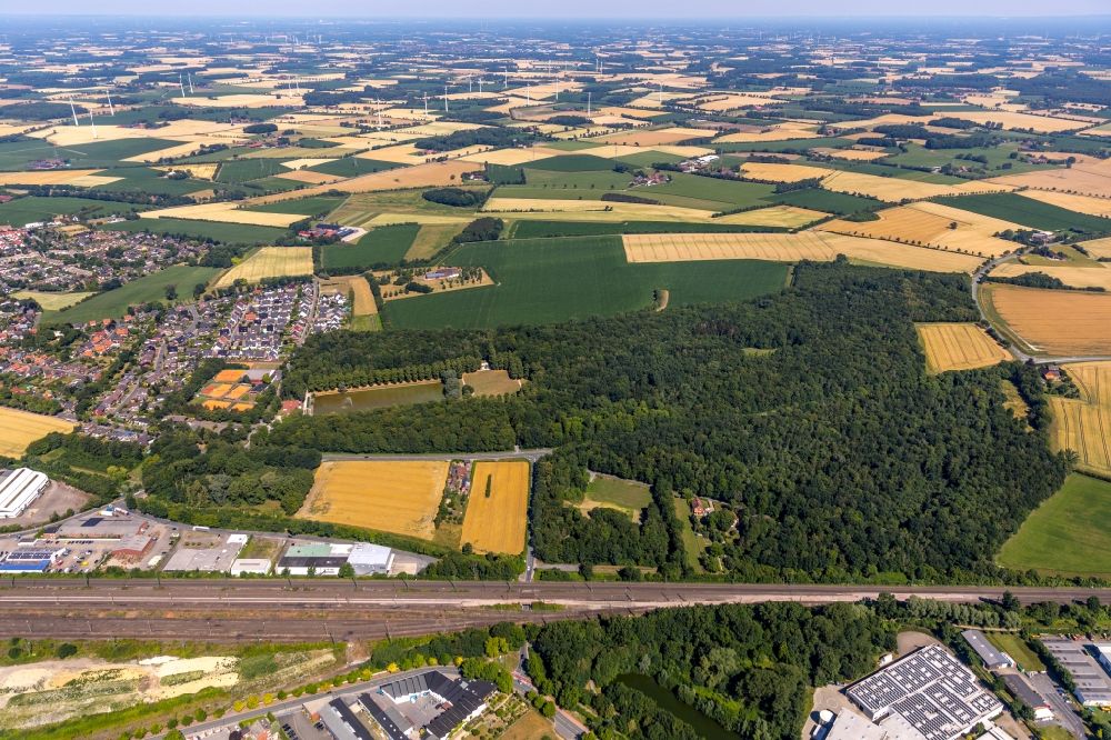 Ahlen aus der Vogelperspektive: Baumspitzen in einem Waldgebiet Stadtwald Langst in Ahlen im Bundesland Nordrhein-Westfalen, Deutschland