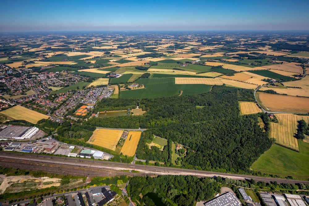 Luftbild Ahlen - Baumspitzen in einem Waldgebiet Stadtwald Langst in Ahlen im Bundesland Nordrhein-Westfalen, Deutschland