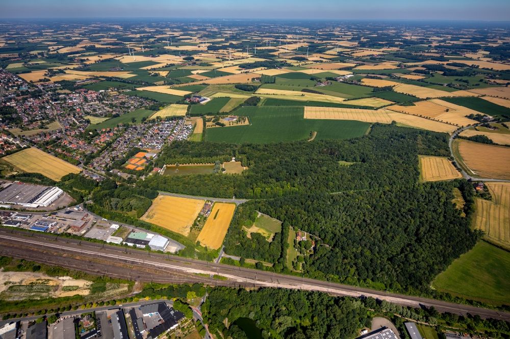 Luftaufnahme Ahlen - Baumspitzen in einem Waldgebiet Stadtwald Langst in Ahlen im Bundesland Nordrhein-Westfalen, Deutschland