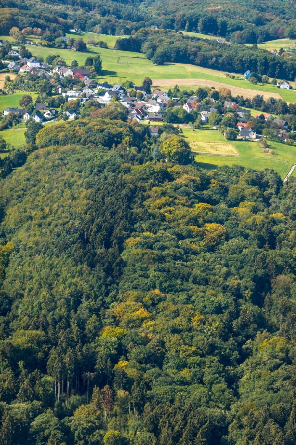Luftbild Witten - Baumspitzen in einem Waldgebiet in Witten im Bundesland Nordrhein-Westfalen, Deutschland
