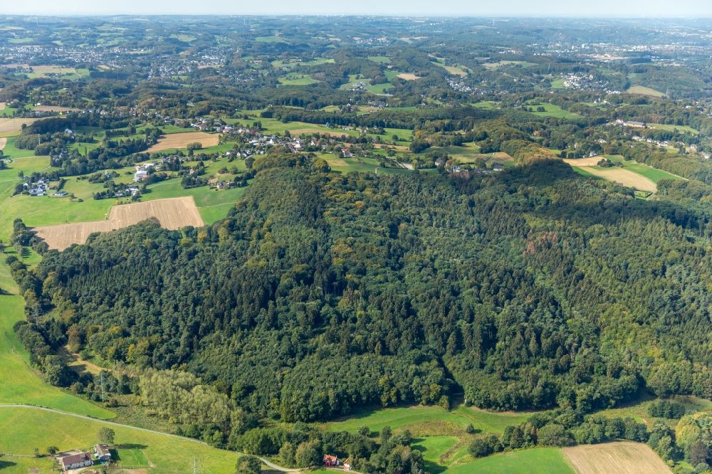 Witten von oben - Baumspitzen in einem Waldgebiet in Witten im Bundesland Nordrhein-Westfalen, Deutschland