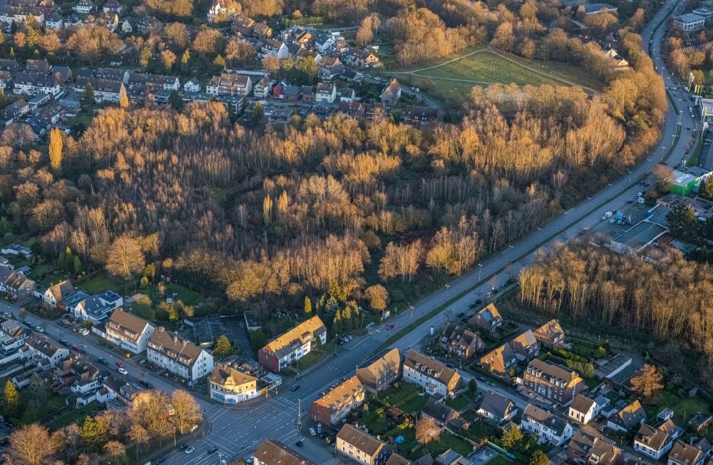Luftaufnahme Bottrop - Baumspitzen in einem Waldgebiet zwischen Südring - Hünefeldstraße - Bergstraße in Bottrop im Bundesland Nordrhein-Westfalen, Deutschland