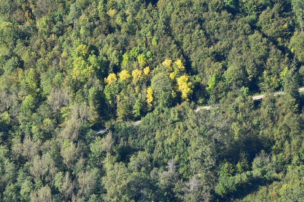 Luftbild Lörrach - Baumspitzen in Herbstfarben in einem Waldgebiet bei Lörrach im Bundesland Baden-Württemberg, Deutschland