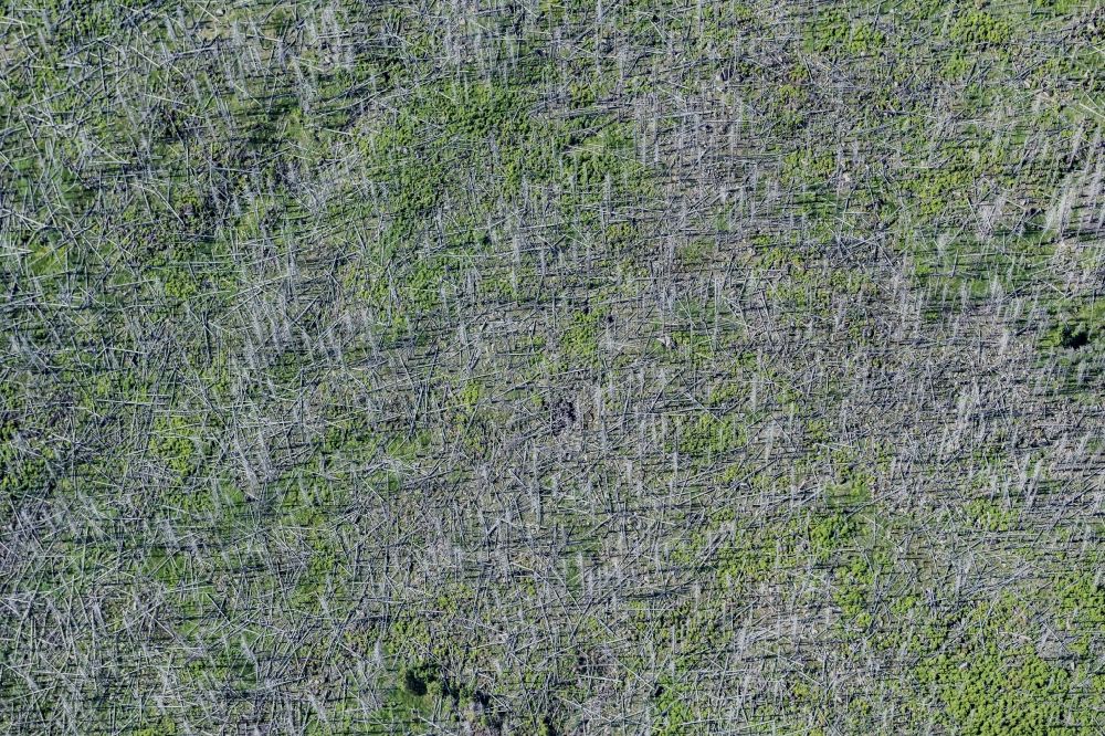 Schierke aus der Vogelperspektive: Baumsterben in einem Waldgebiet in Schierke im Bundesland Sachsen-Anhalt, Deutschland