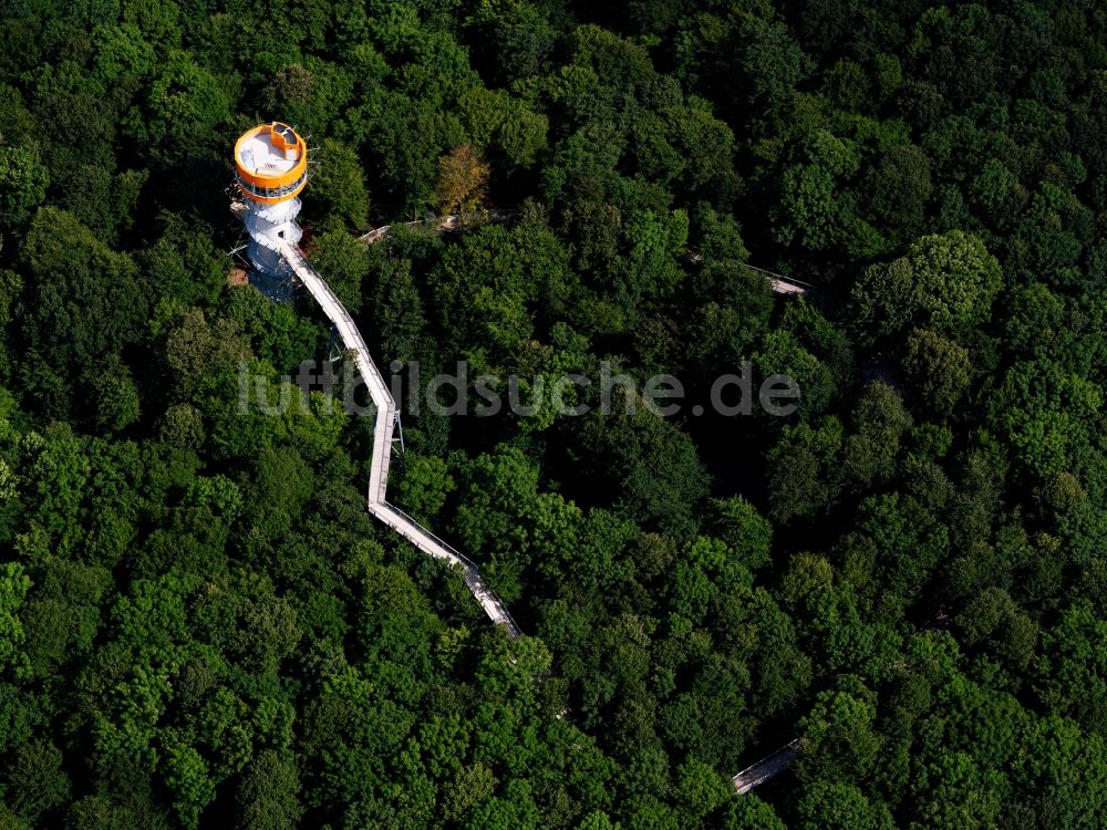 Luftaufnahme Bad Langensalza - Baumturm im Baumkronenpfad in Thüringer Nationalpark Hainich im Bundesland Thüringen