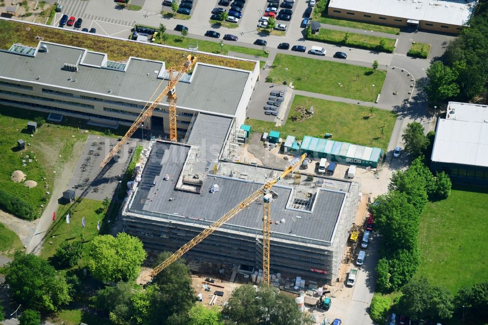 Kiel von oben - Baustelle für einen Neubau auf dem Schulgelände des RBZ am Schützenpark in Kiel im Bundesland Schleswig-Holstein, Deutschland
