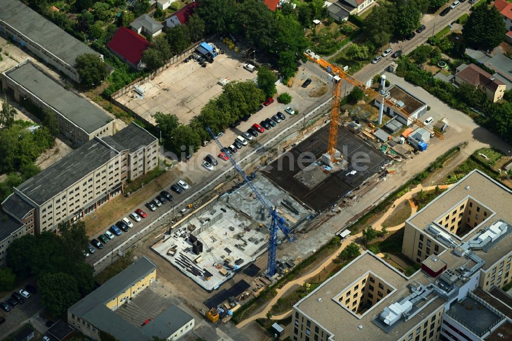 Berlin aus der Vogelperspektive: Baustelle vom Neubau eines Seniorenzentrums im Ortsteil Kaulsdorf in Berlin, Deutschland