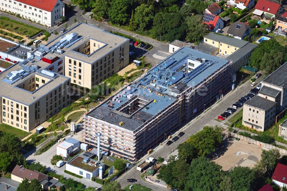 Berlin von oben - Baustelle vom Neubau eines Seniorenzentrums im Ortsteil Kaulsdorf in Berlin, Deutschland